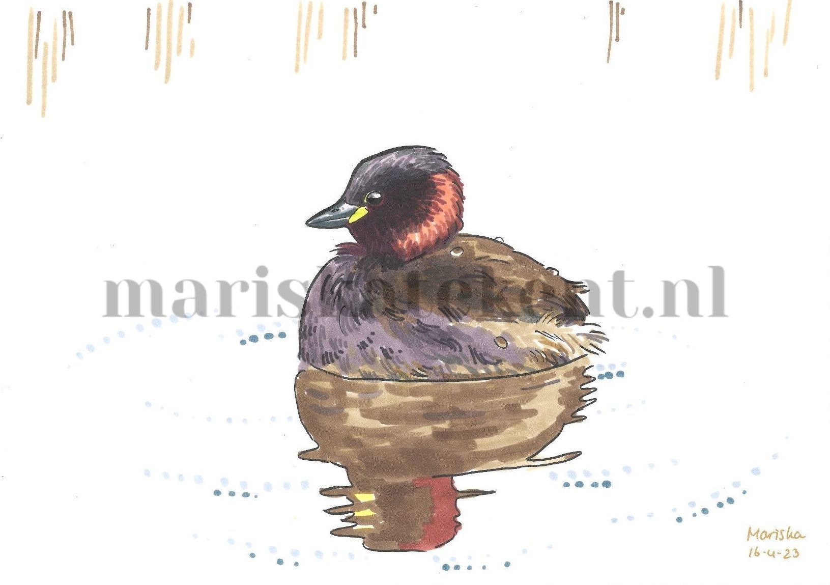 Dodaars tekening Mariska tekent