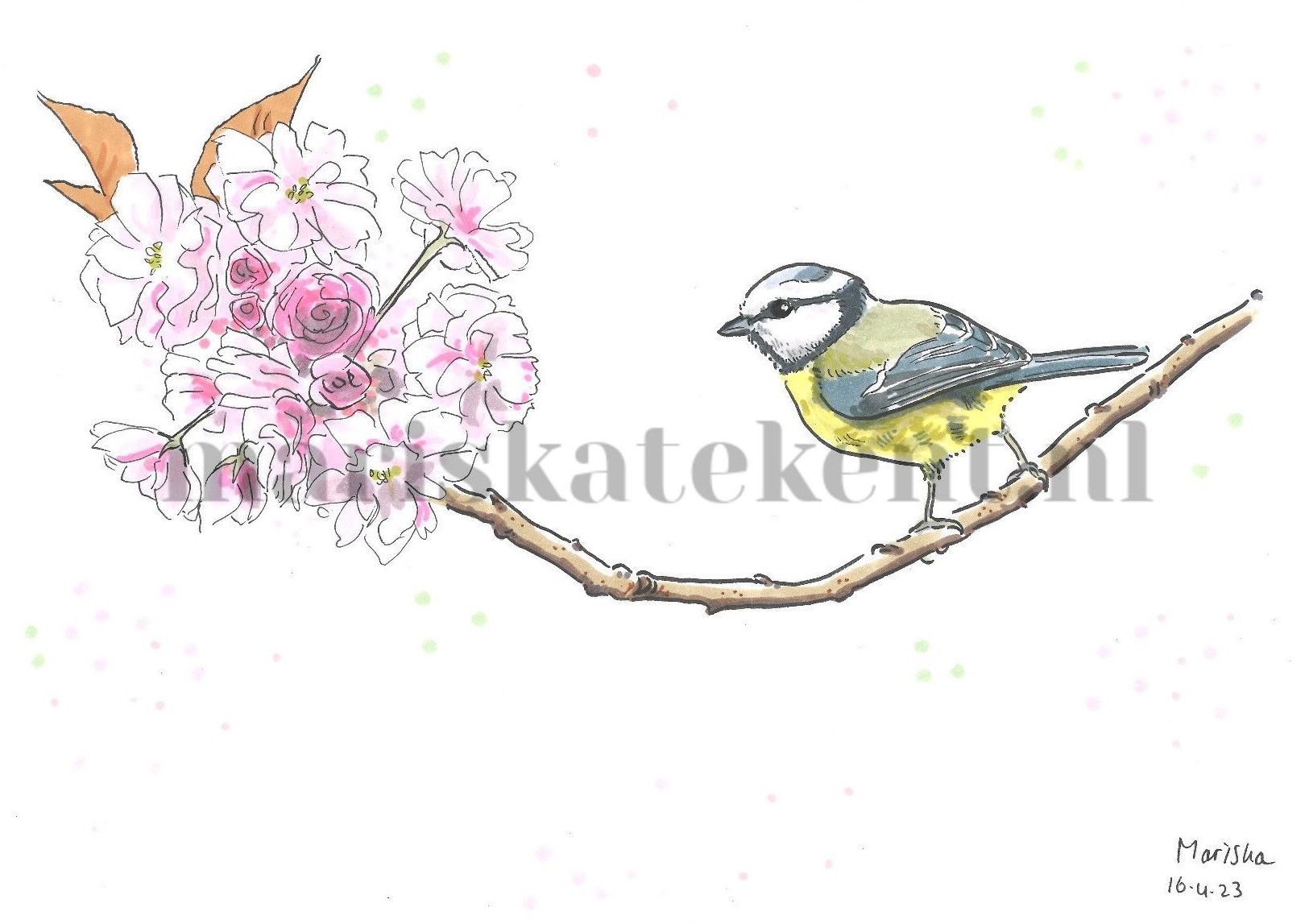 Pimpelmeesje tekening Mariska tekent