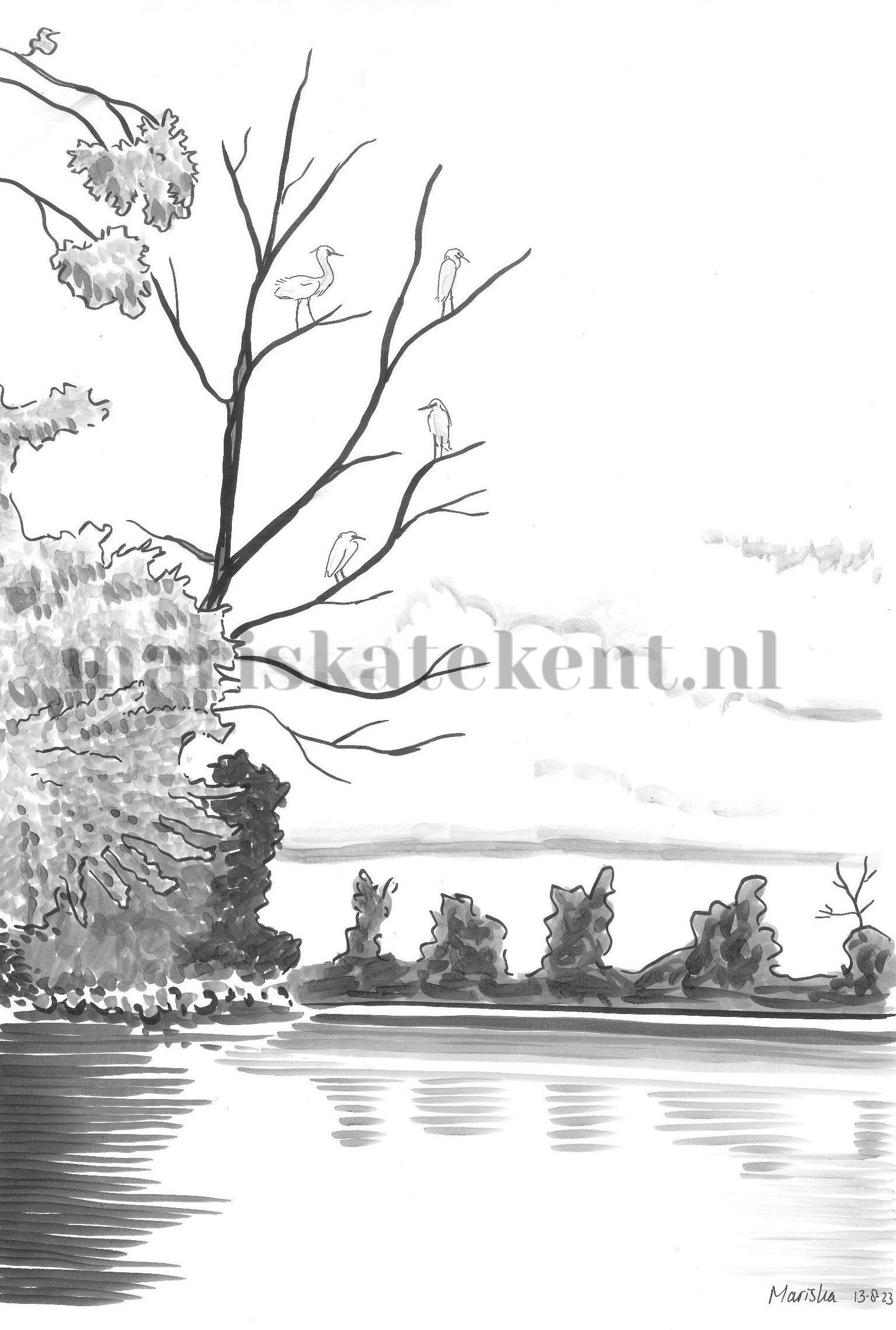 Kleine witte reiger tekening Mariska tekent