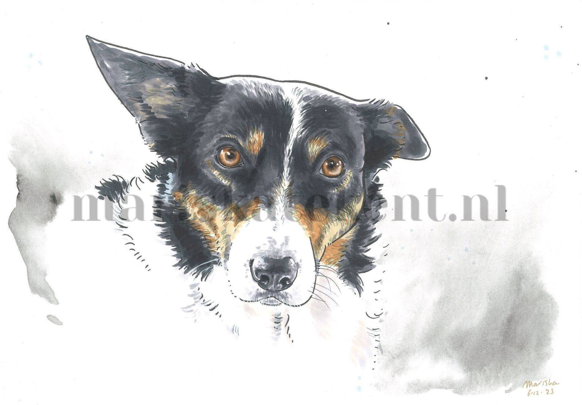 Portret dier Mariska tekent hond Border Collie