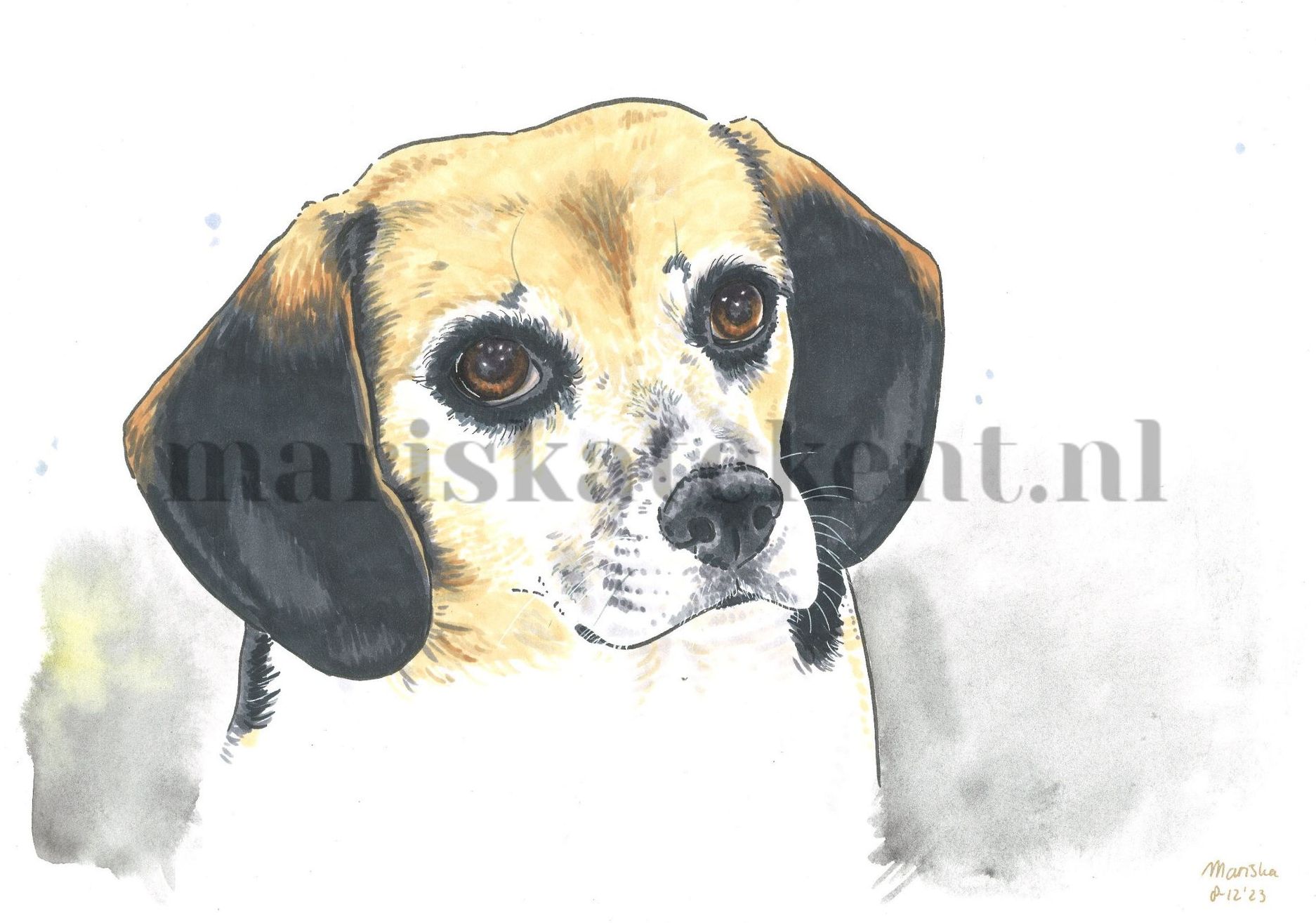 Portret hond Mariska tekent Beagle