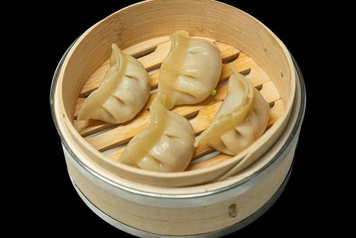 ravioli gyoza