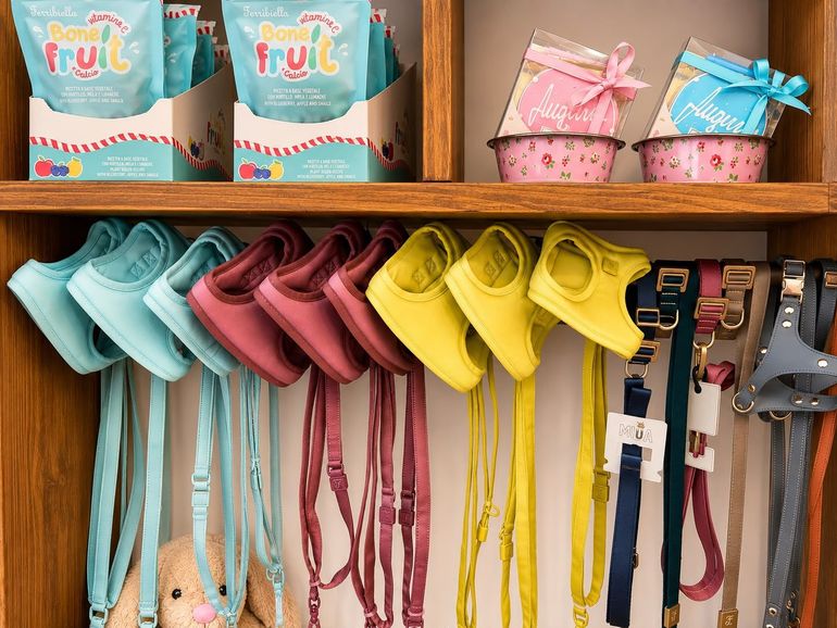 Guinzagli colorati pieghevoli per animali domestici e accessori coordinati esposti su scaffali di legno in un negozio.