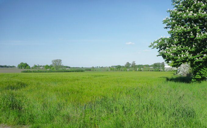 Landschaft um Bliedersdorf