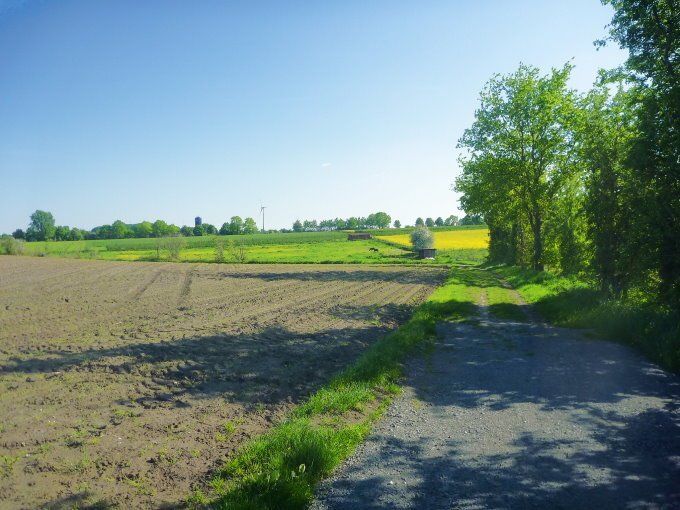 Landschaft um Bliedersdorf