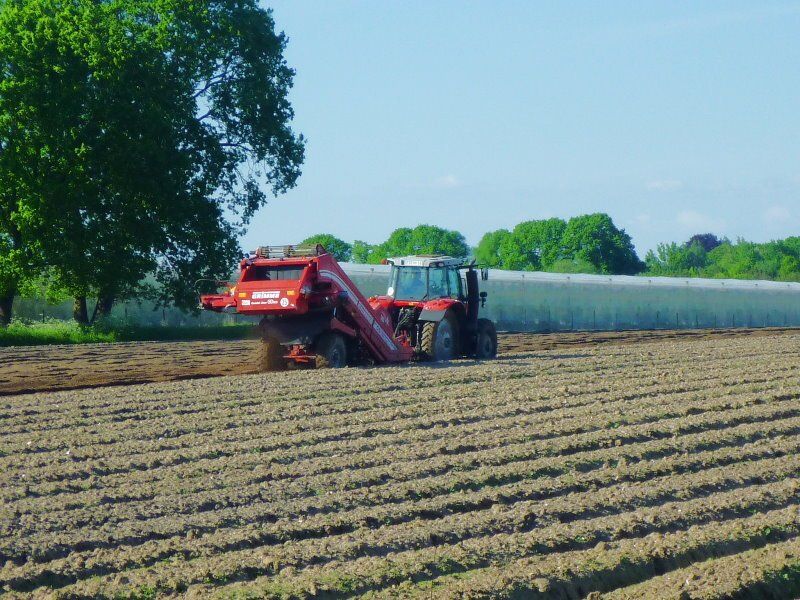 Landwirtschaft in Bliedersdorf Landwirtschaft in Bliedersdorf
