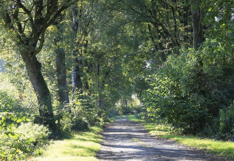 Wanderweg bei 
