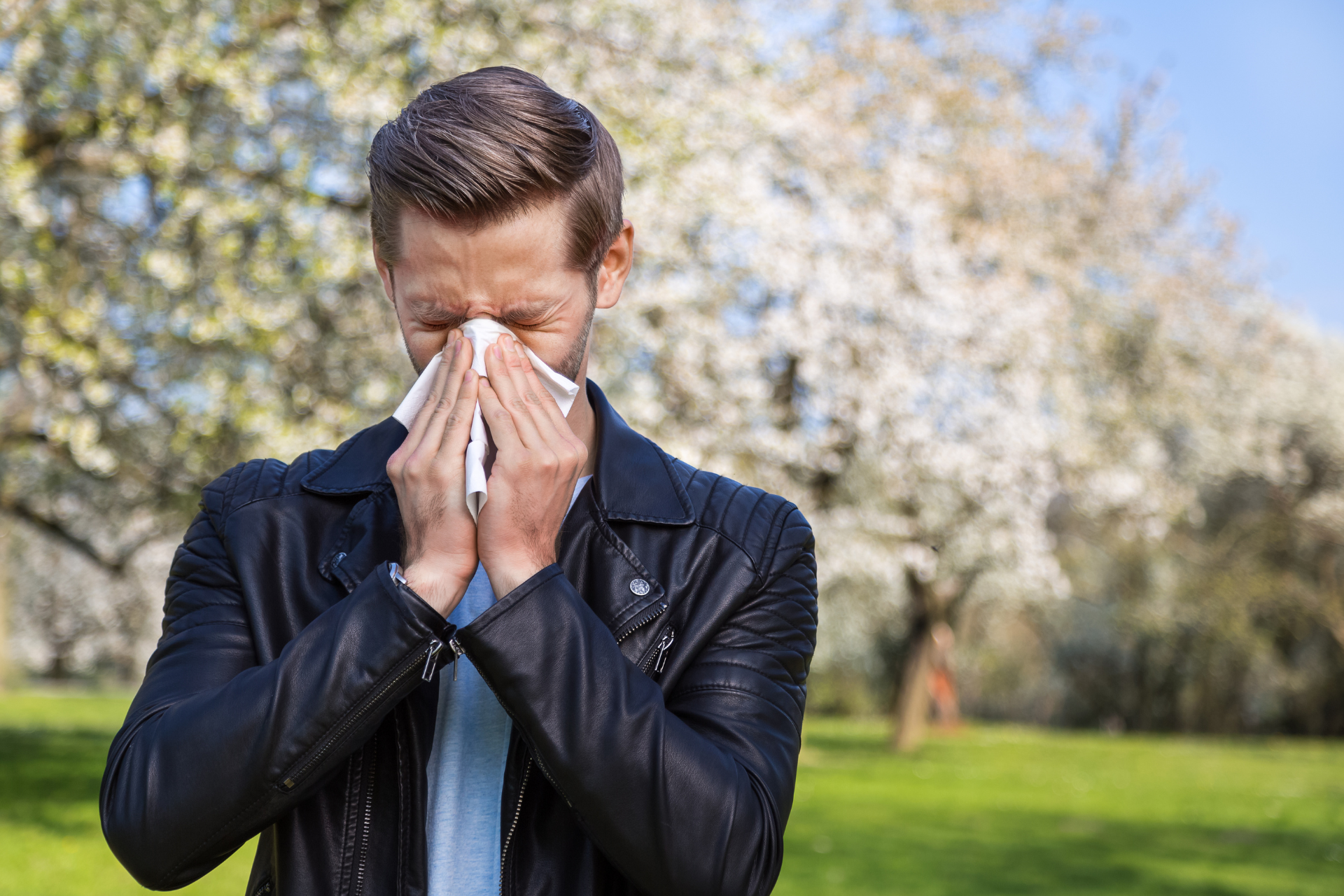 Seasonal Allergies