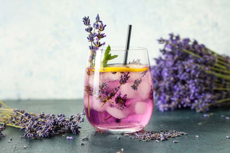 A glass of pink liquid with ice and lavender flowers on a table. A glass of pink liquid with ice and lavender flowers on a table.