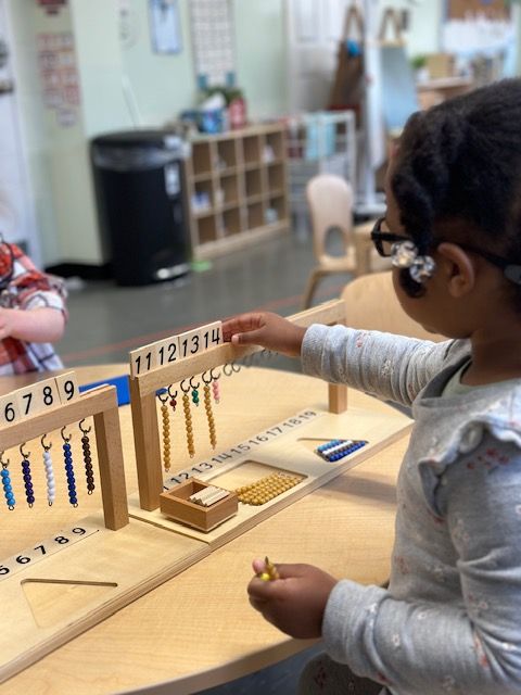 Montessori Primary Program