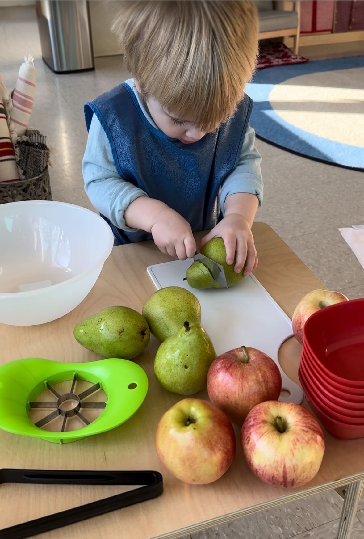 Montessori Toddler Program