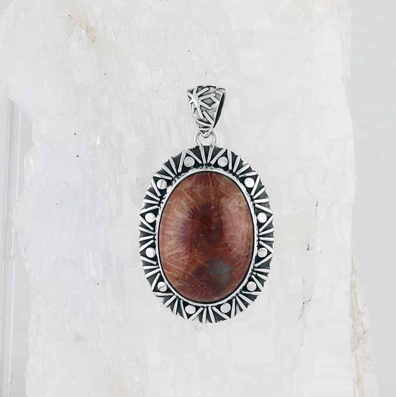 BAS P-0007 FC  (Fossilize Coral)