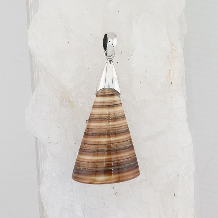 BL P-3319 B SH (Shell)