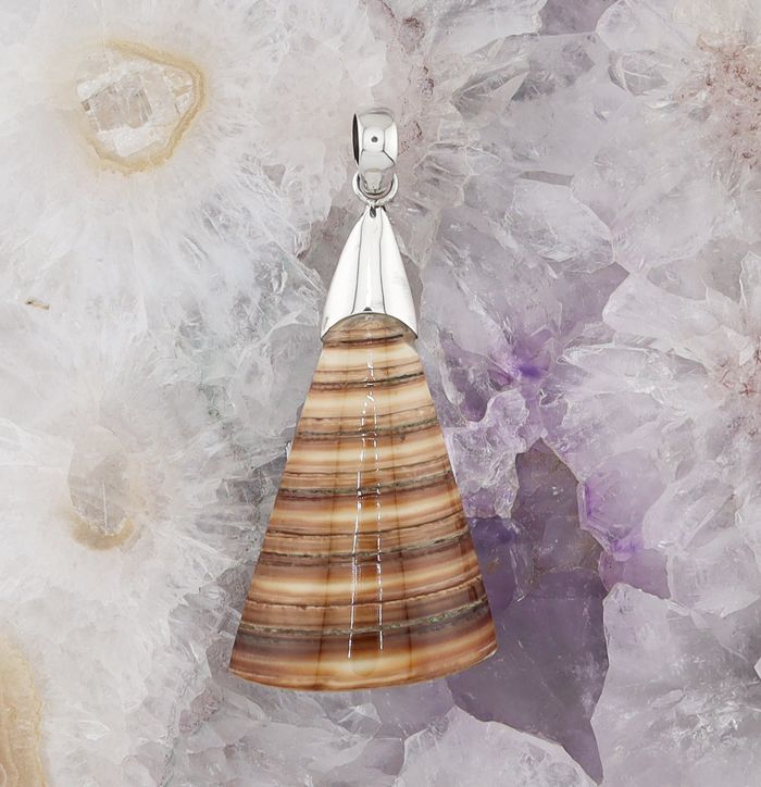 BL P-3319 B SH (Shell)