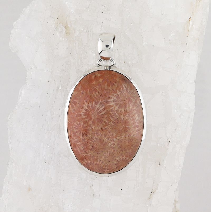 BSS P-0647 FC (Fossilize Coral)