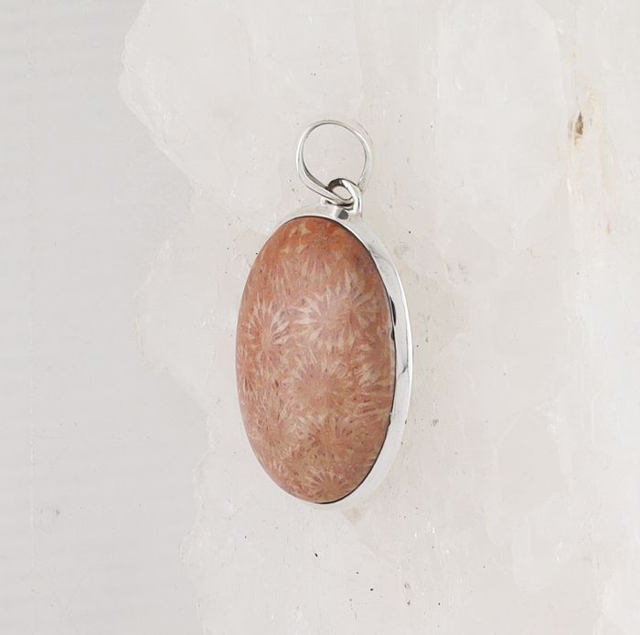 BSS P-0647 FC (Fossilize Coral)