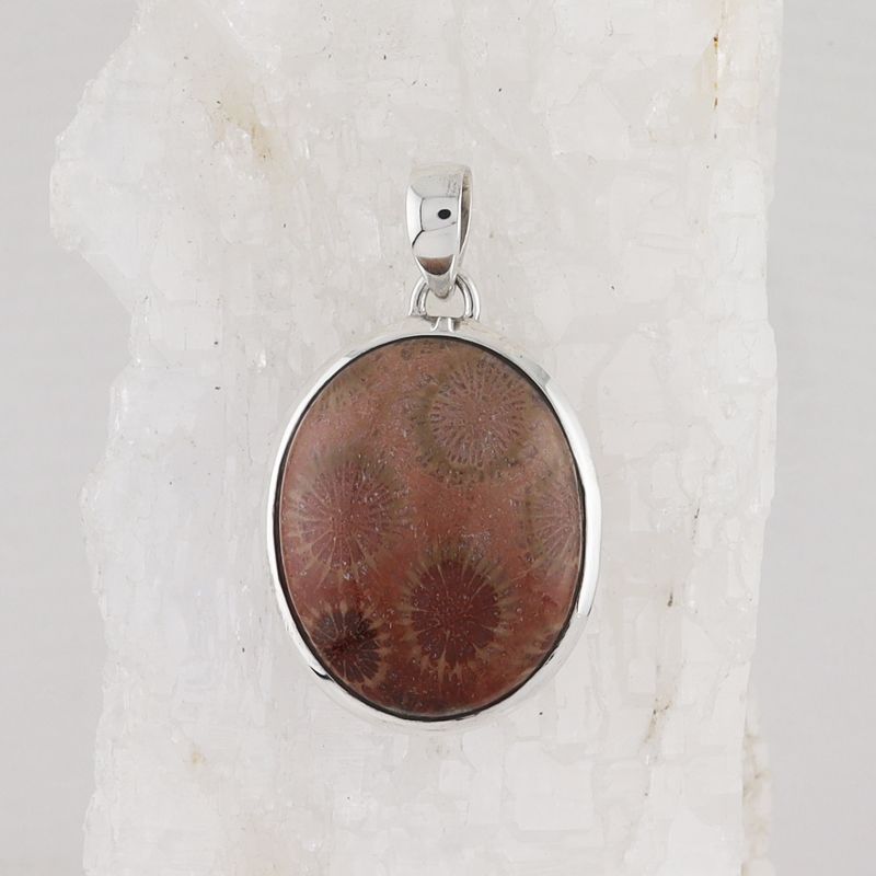 BSS P-0649 FC (Fossilize Coral)