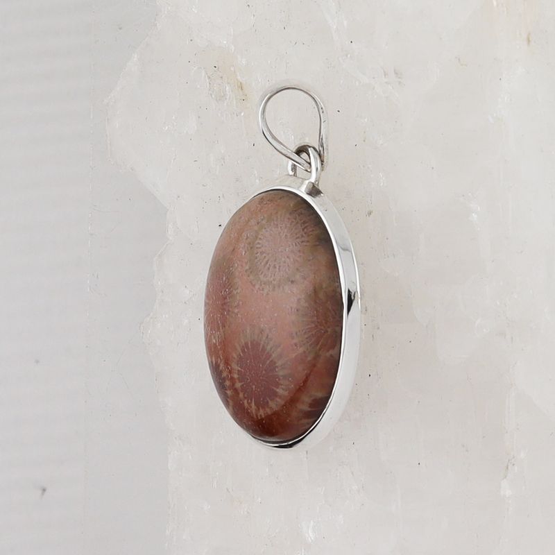 BSS P-0649 FC (Fossilize Coral)