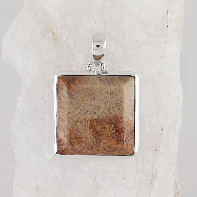 BSS P-0651 FC (Fossilize Coral)