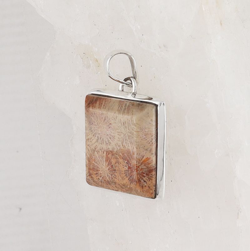 BSS P-0651 FC (Fossilize Coral)
