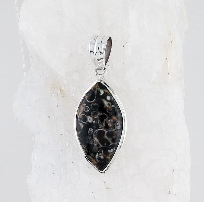 BSS P-753 TA (Turritella Agate)