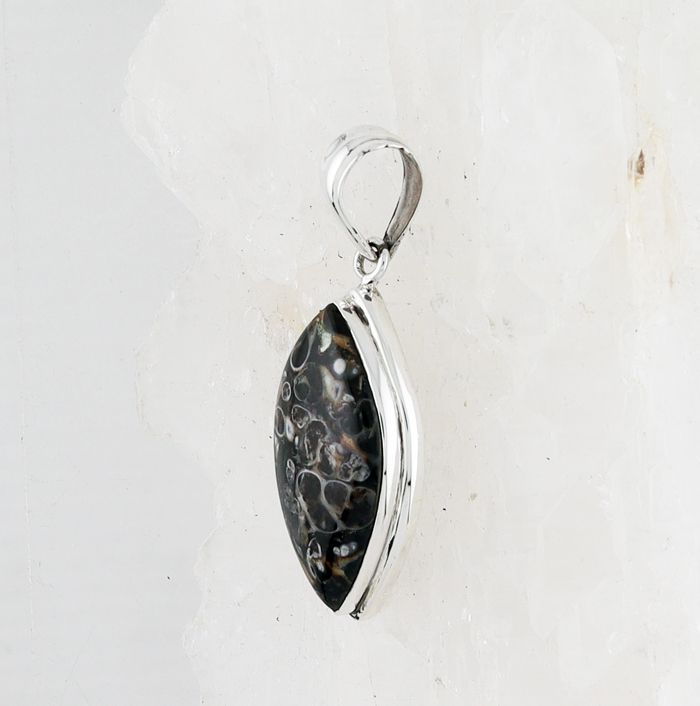 BSS P-753 TA (Turritella Agate)