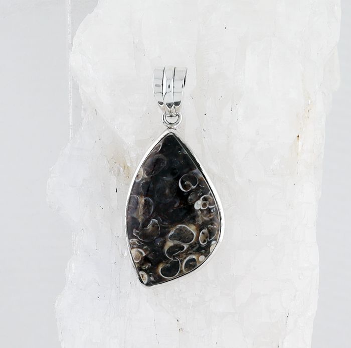 BSS P-756 TA (Turritella Agate)