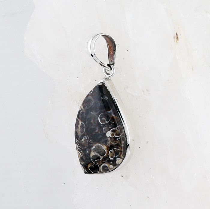 BSS P-756 TA (Turritella Agate)