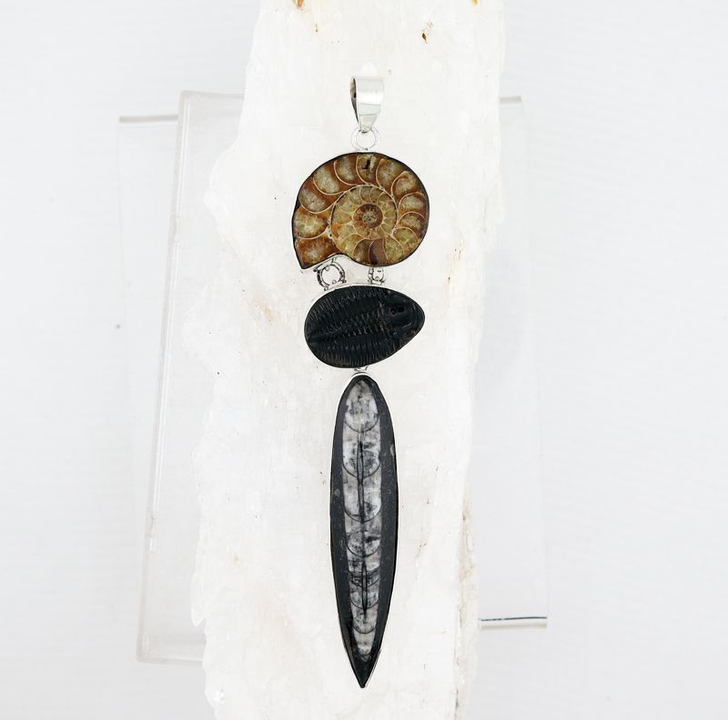BSS P-766 MLT  (Ammonite, Trilobite and Orthoceras Fossils)