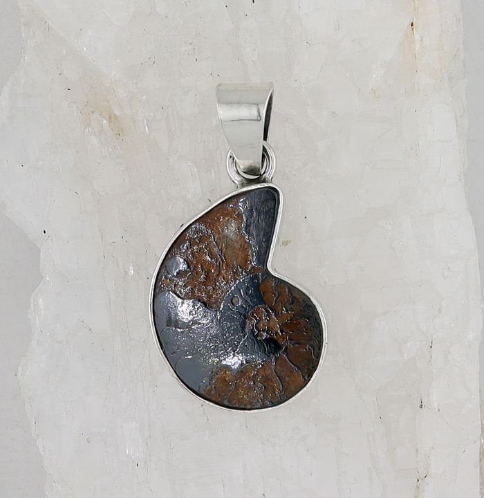 CHAR P-0129 AMM  (Ammonite Fossil)