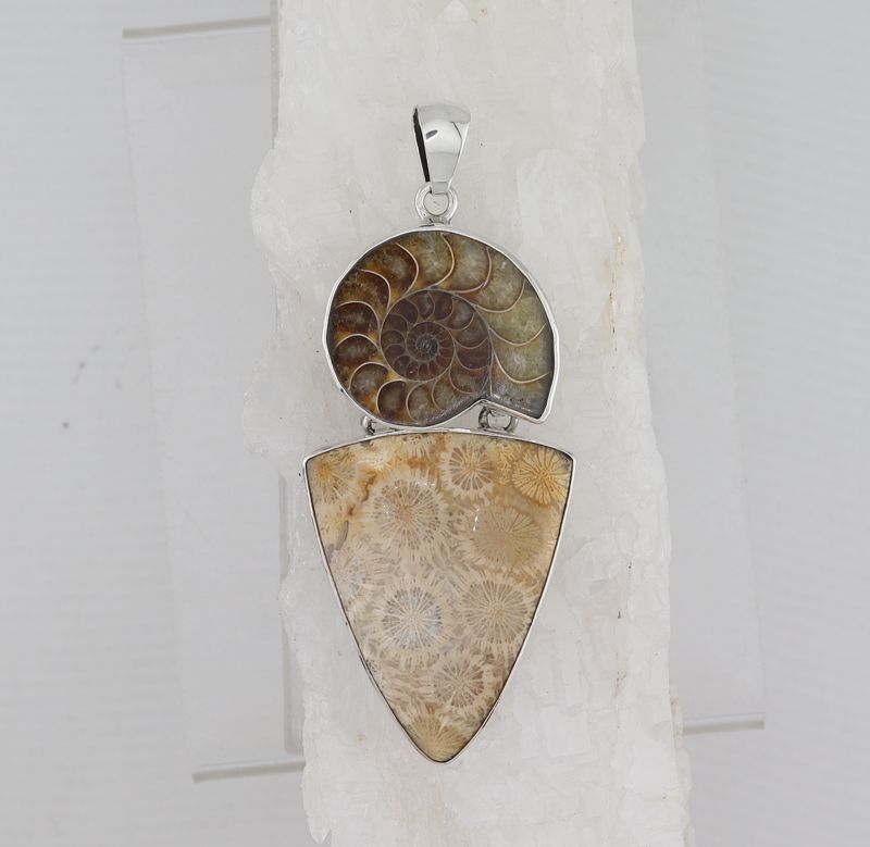 CHAR P-0541 AMM  (Ammonite and Fossilize Coral)