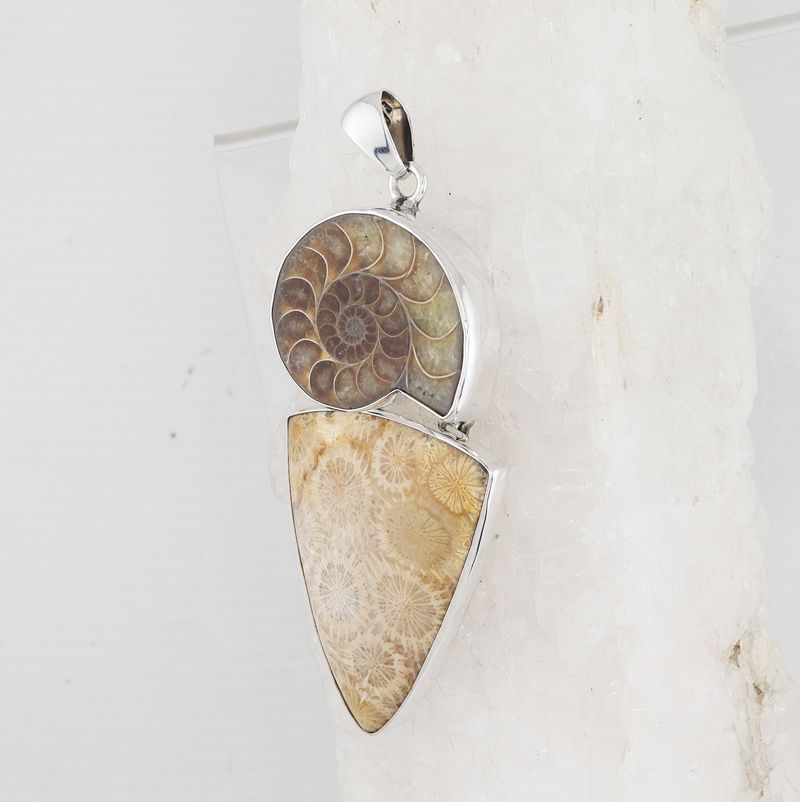 CHAR P-0541 AMM  (Ammonite and Fossilize Coral)