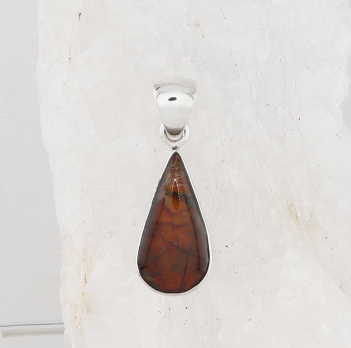 CHAR P-0549 AML  (Ammolite)