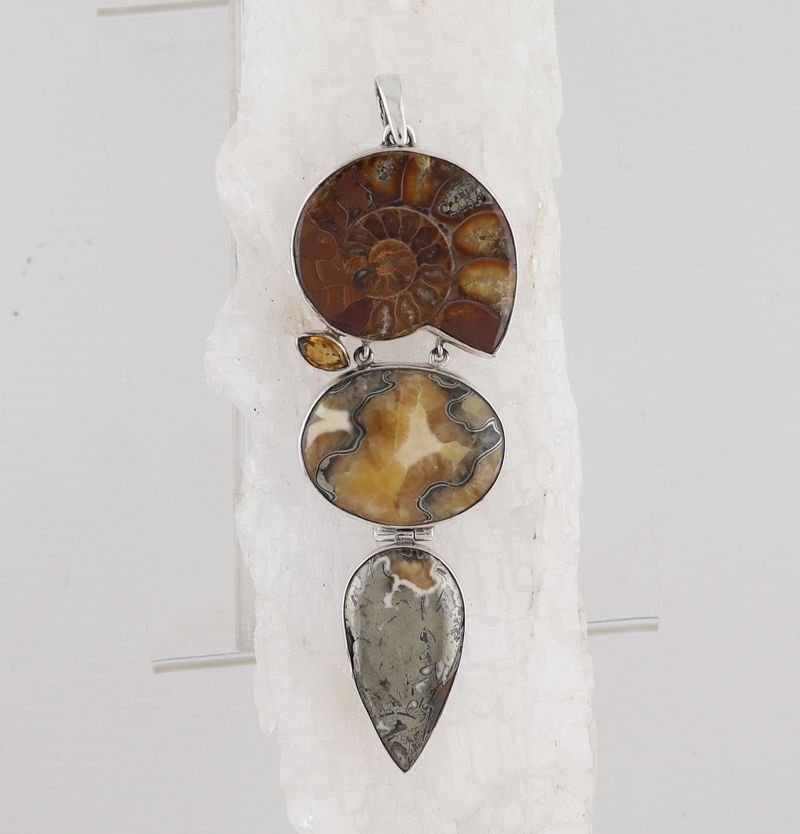 FP P-019 MLT  (Ammonite, Citrine and Septarian Pyrite)
