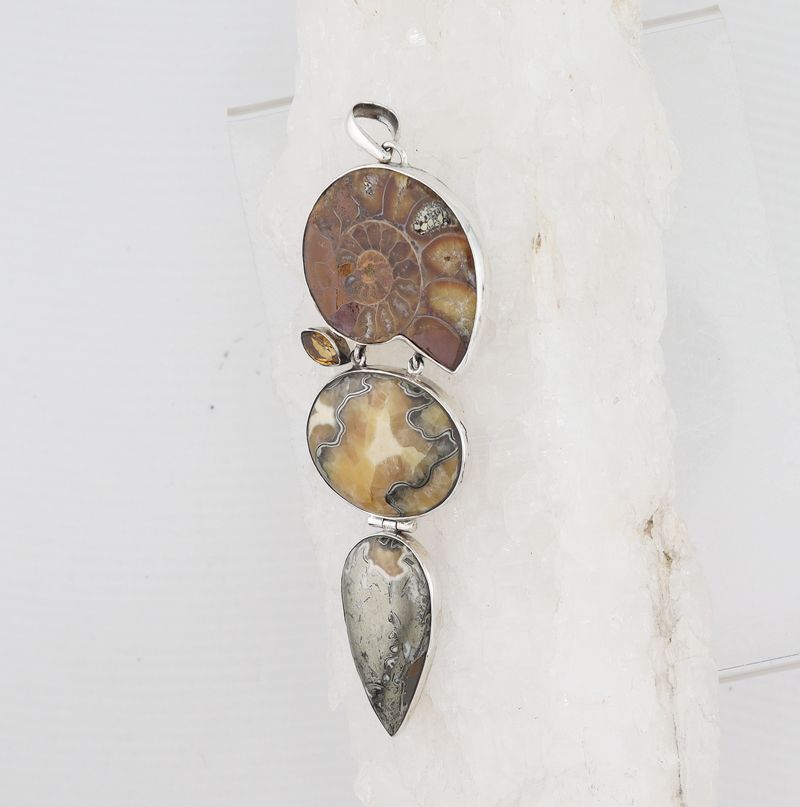 FP P-019 MLT  (Ammonite, Citrine and Septarian Pyrite)