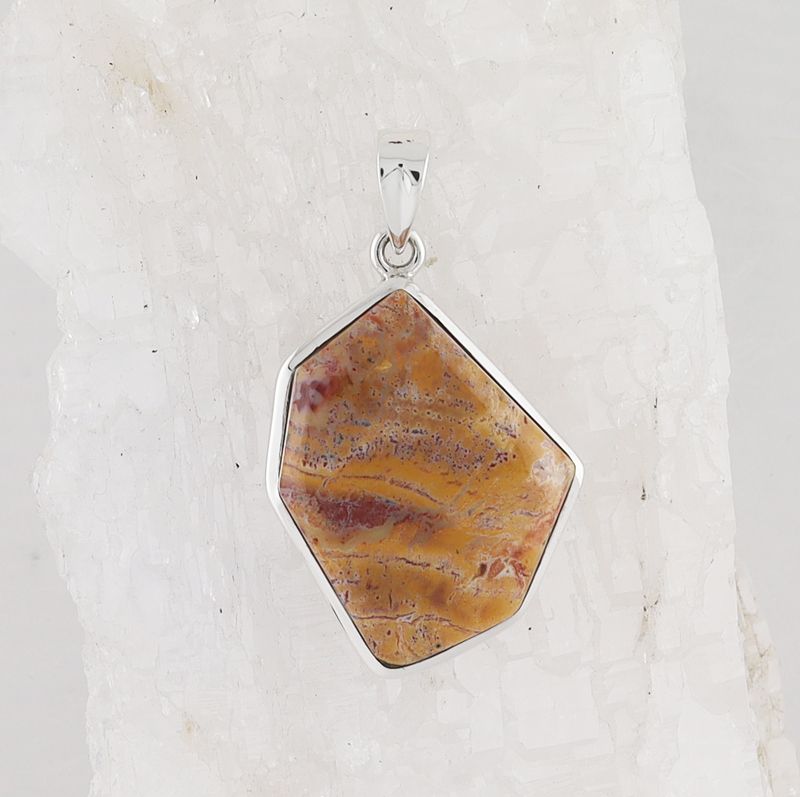 HM P-1717 FW (Fossilized Wood)