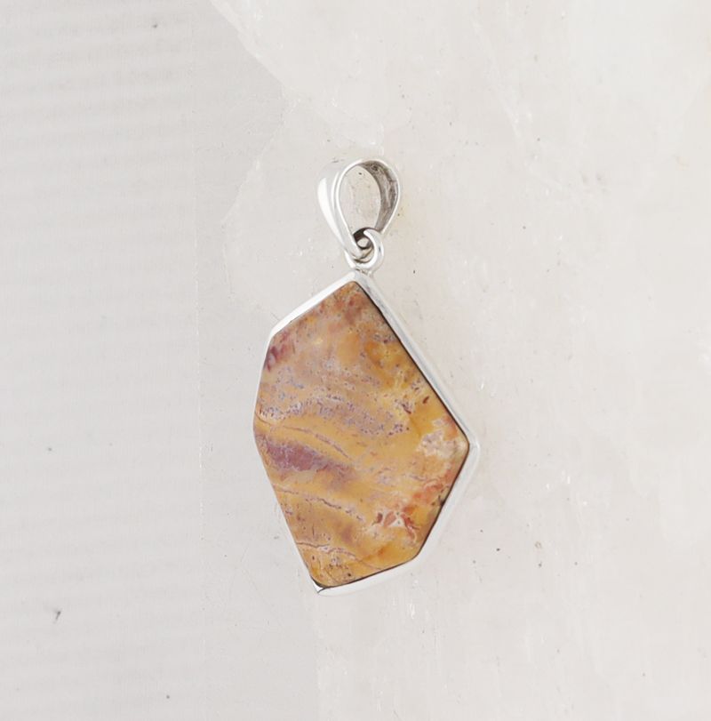 HM P-1717 FW (Fossilized Wood)