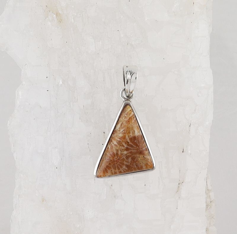 HM P-1703 FC (Fossilize Coral)