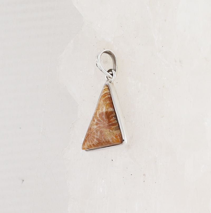 HM P-1703 FC (Fossilize Coral)