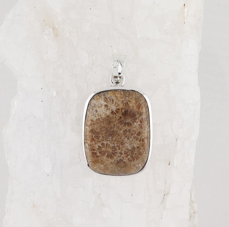 HM P-1714 FC (Fossilize Coral)
