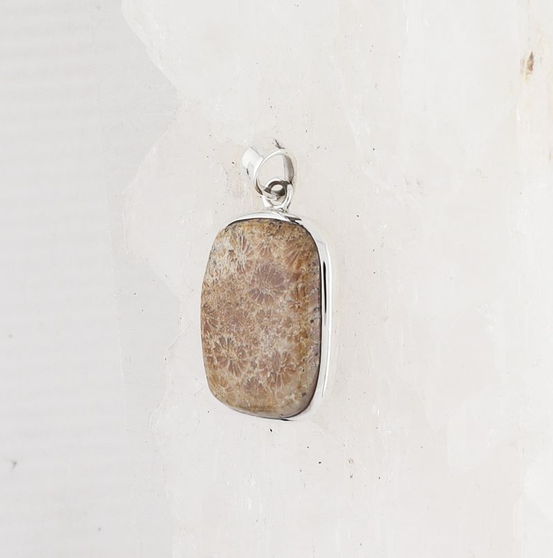 HM P-1714 FC (Fossilize Coral)