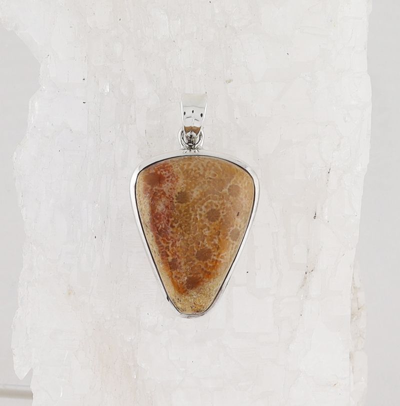 HM P-1717 FC (Fossilize Coral)