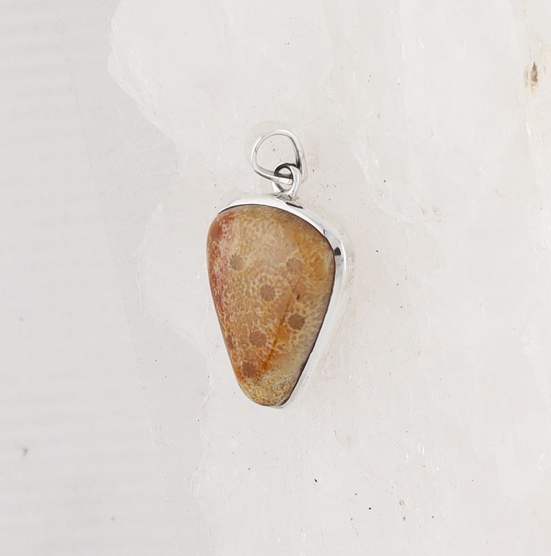 HM P-1717 FC (Fossilize Coral)