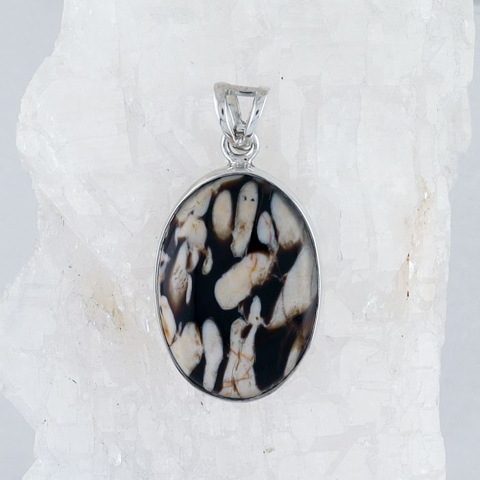 IGB P-4908 FPW (Fossilize Peanut Wood)