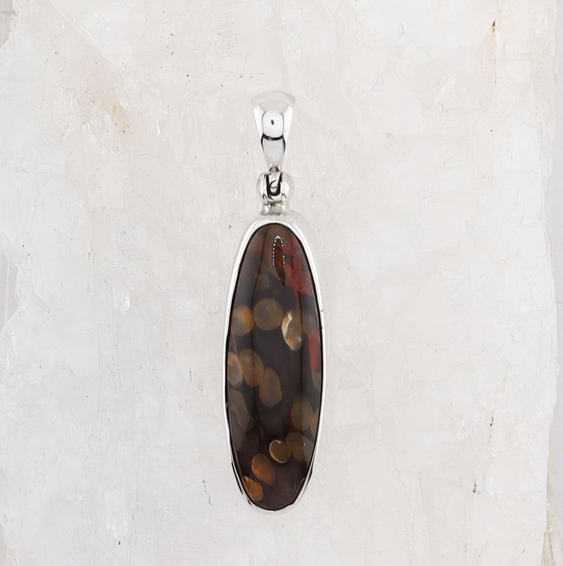 SB P-0378 PW (Petrified Wood)
