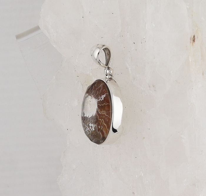 SB P-1092 AMM  QTZ (Ammonite Fossil Doublet)