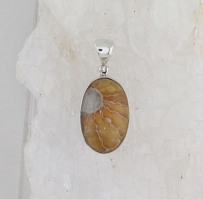 SB P-1093 AMM  QTZ (Ammonite Fossil Doublet)