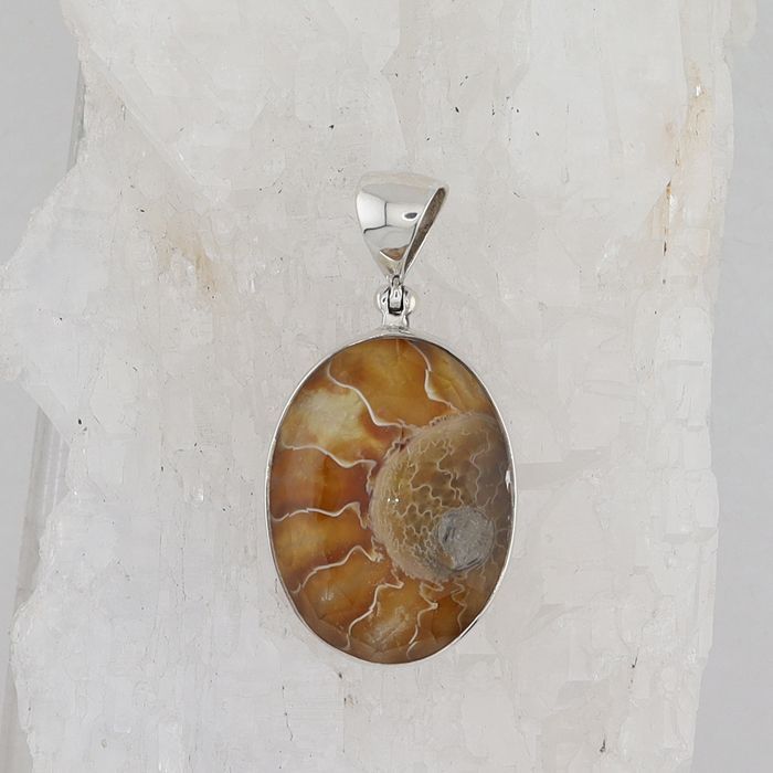 SB P-1219 AMM  QTZ (Ammonite Fossil Doublet)