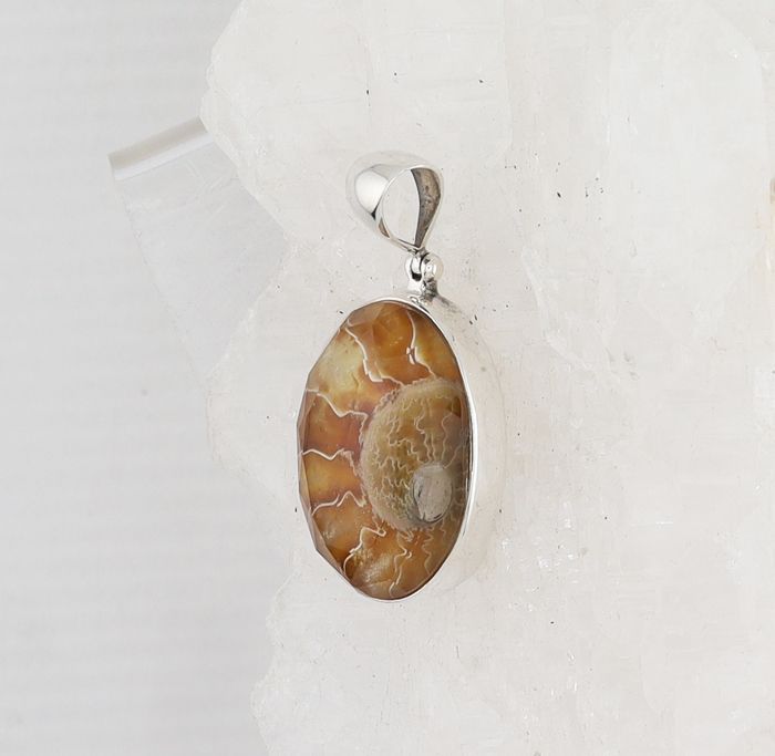 SB P-1219 AMM  QTZ (Ammonite Fossil Doublet)