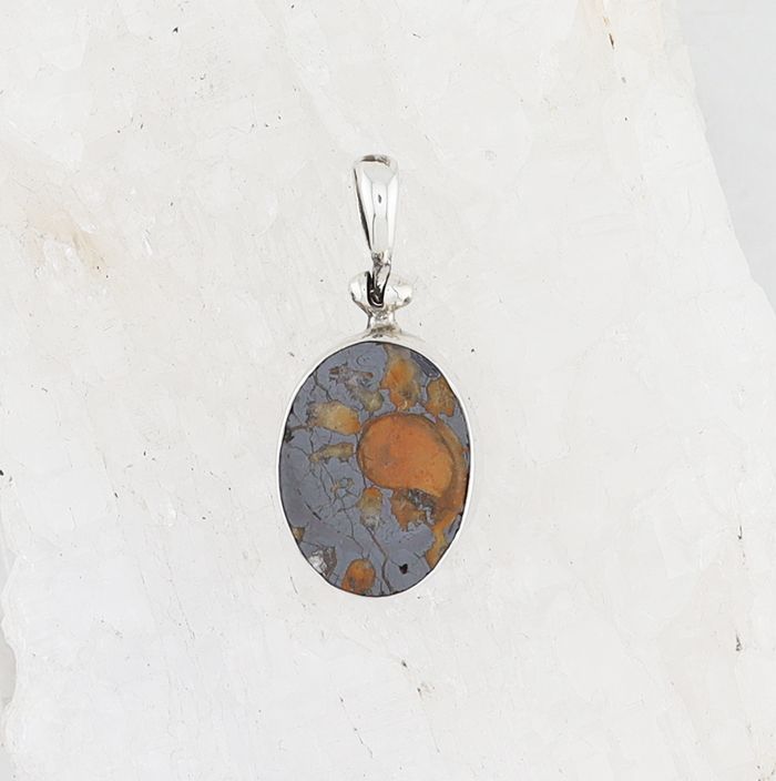 SB P-1222 AMM  (Ammonite Fossil)